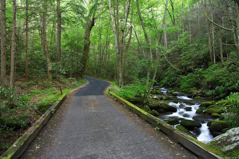 roaring fork motor nature trail is one of the best things to do in Gatlinburg in spring