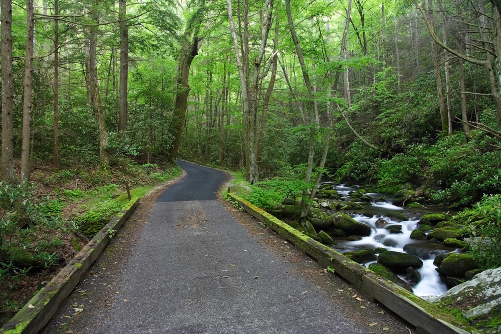 roaring fork motor nature trail is one of the best things to do in Gatlinburg in spring